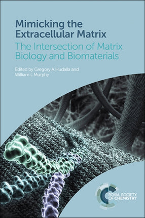 Mimicking the Extracellular Matrix: The