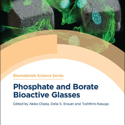 Phosphate and Borate Bioactive Glasses