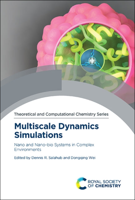 Multiscale Dynamics Simulations: Nano and Nano-bio Systems in Complex Environments