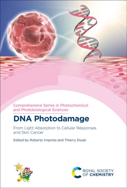 DNA Photodamage: From Light Absorption to Cellular Responses and Skin Cancer