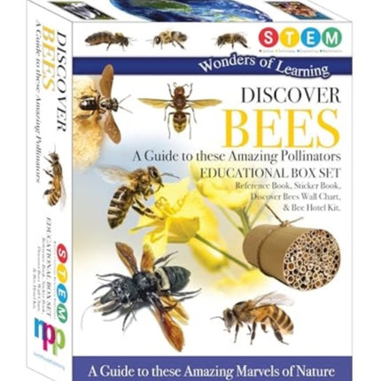 Discover Bees: A Guide to These Amazing Pollinators