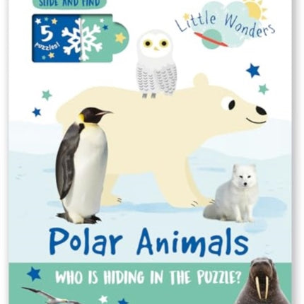 Polar Animals: Who is Hiding in the Puzzle?