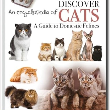 Discover an Encyclopedia of Cats: A Guide to