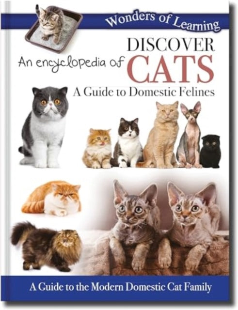Discover an Encyclopedia of Cats: A Guide to