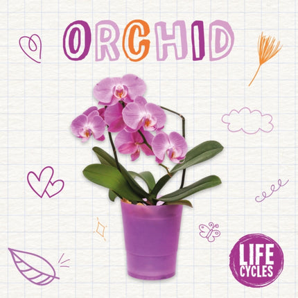 Orchid