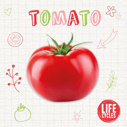 Tomato