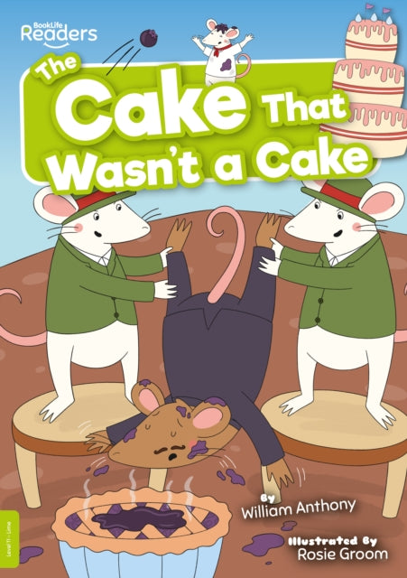 The Cake That Wasn't a Cake