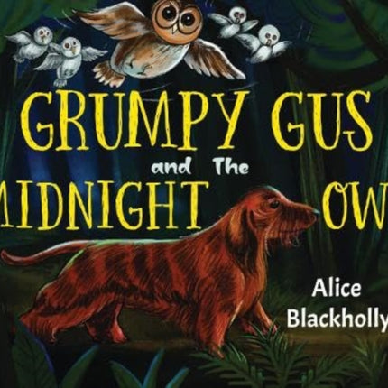 Grumpy Gus and The Midnight Owl