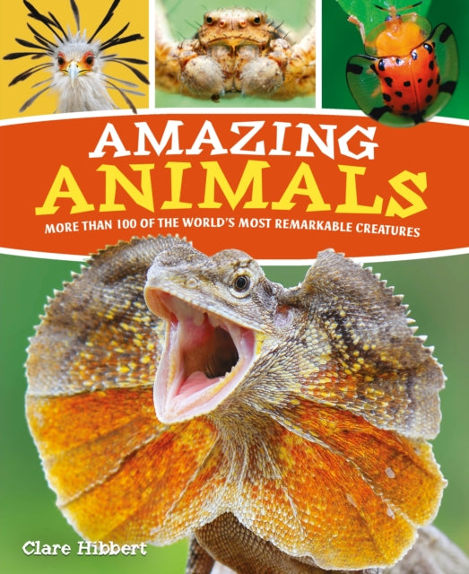 Amazing Animals: More than 100 of the World's Most Remarkable Creatures