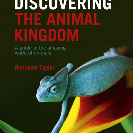 Discovering The Animal Kingdom: A guide to the amazing world of animals