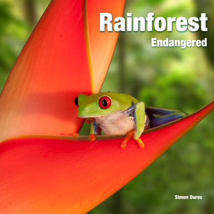 Rainforest Endangered