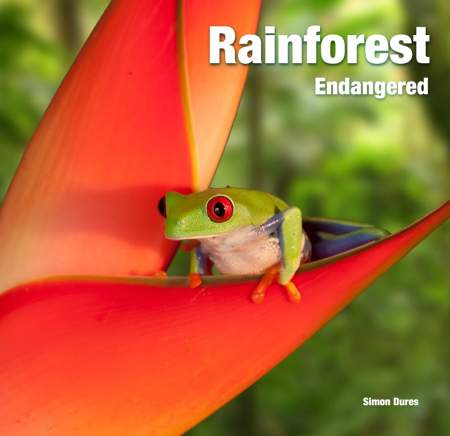 Rainforest Endangered