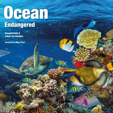 Ocean Endangered