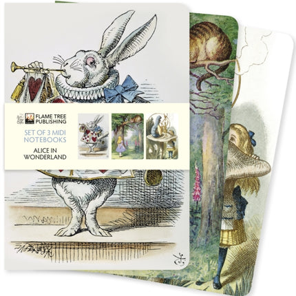 Alice in Wonderland Set of 3 Midi Notebooks