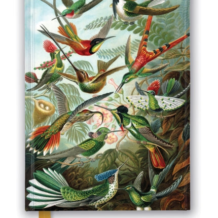 Ernst Haeckel: Hummingbirds (Foiled Journal)