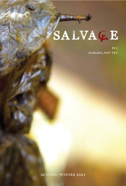 Salvage 11