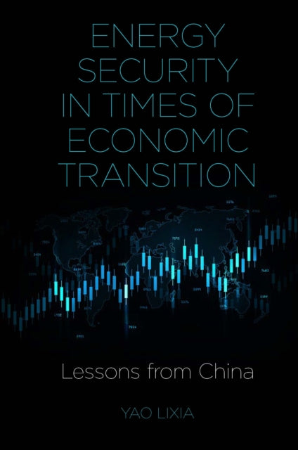 Energy Security in Times of Economic Transition: Lessons from China