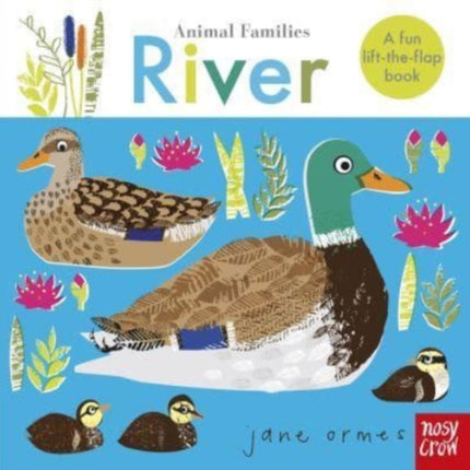 Animal Families: River