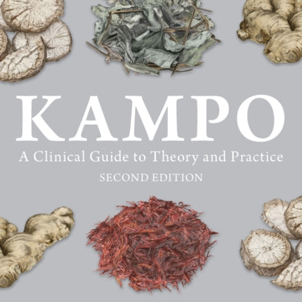 Kampo: A Clinical Guide to Theory and Practice