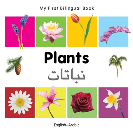 My First Bilingual Book   Plants EnglishArabic