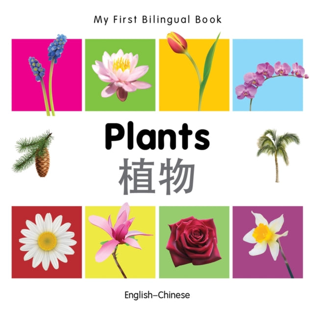 My First Bilingual Book -  Plants (English-Chinese)