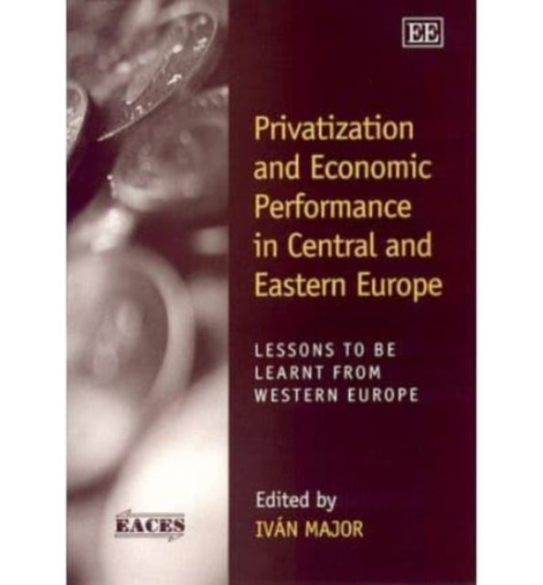 Privatization and Economic Performance in Central and Eastern Europe: Lessons to be Learnt from Western Europe