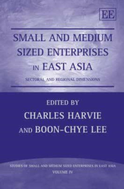 Small and Medium Sized Enterprises in East Asia: Sectoral and Regional Dimensions