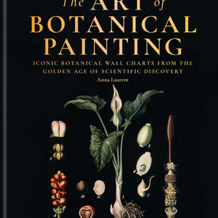 The Art of Botanical Drawing