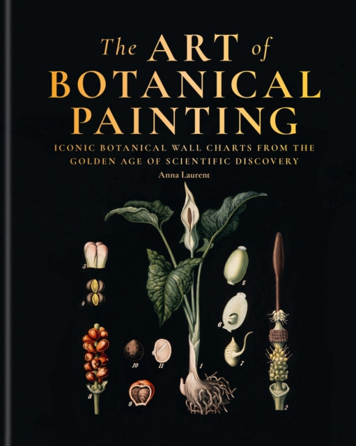 The Art of Botanical Drawing