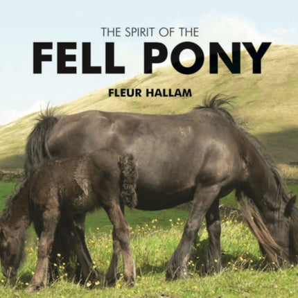 The Spirit of the Fell Pony