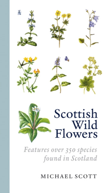 Scottish Wild Flowers