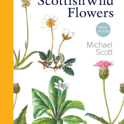 Scottish Wild Flowers: Mini Guide