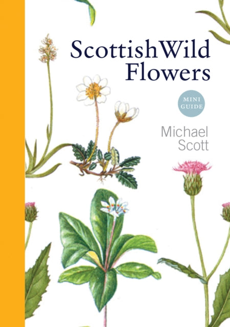 Scottish Wild Flowers: Mini Guide