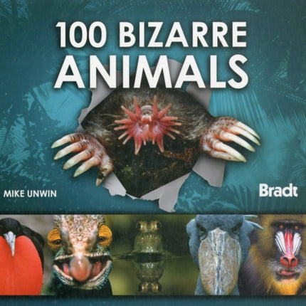 100 Bizarre Animals Bradt Travel Guides Wildlife Guides