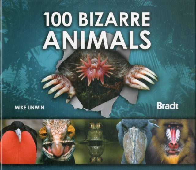 100 Bizarre Animals Bradt Travel Guides Wildlife Guides