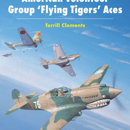 American Volunteer Group Colours and Markings