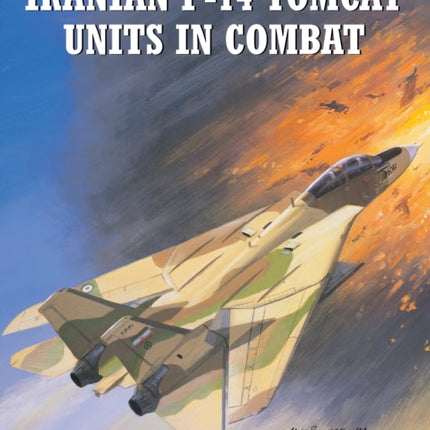 Iranian F14 Tomcat Units in Combat