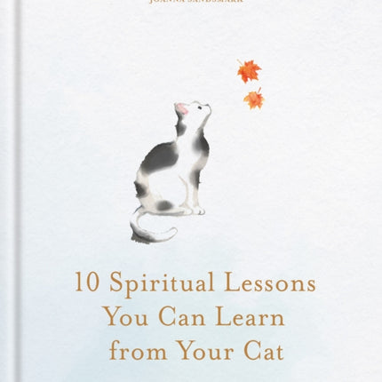10 Spiritual Lessons You Can Learn from Your Cat