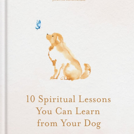 10 Spiritual Lessons You Can Learn from Your Dog