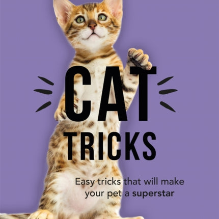 The Little Book of Cat Tricks: Easy tricks that will give your pet the spotlight they deserve