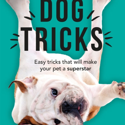 The Little Book of Dog Tricks: Easy tricks that will give your pet the spotlight they deserve