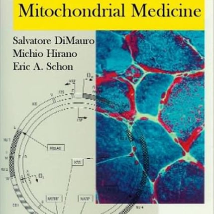 Mitochondrial Medicine