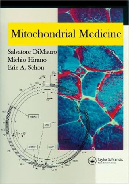 Mitochondrial Medicine