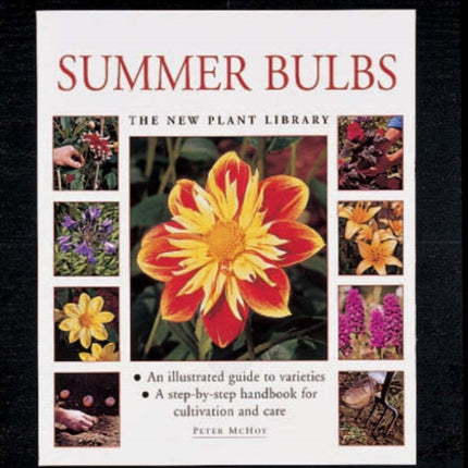 Summer Bulbs