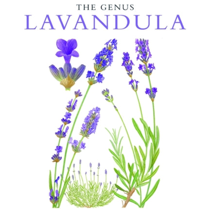Botanical Magazine Monograph. The Genus Lavandula