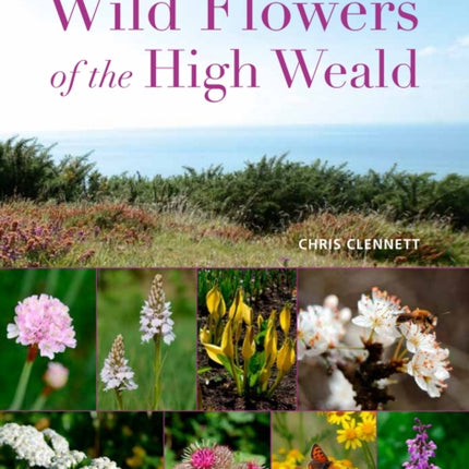 Wild Flowers of the High Weald