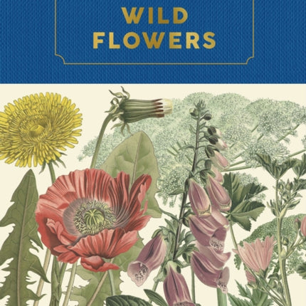 Kew Pocketbooks: Wildflowers