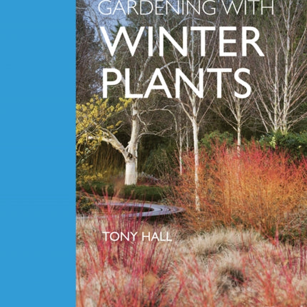 Gardening with Winter Plants