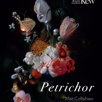 Petrichor