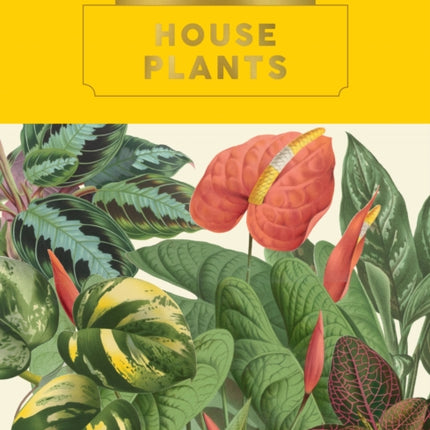 Kew Pocketbooks: House Plants